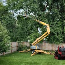 Best Utility Line Clearance  in Friendship Heights Village, MD